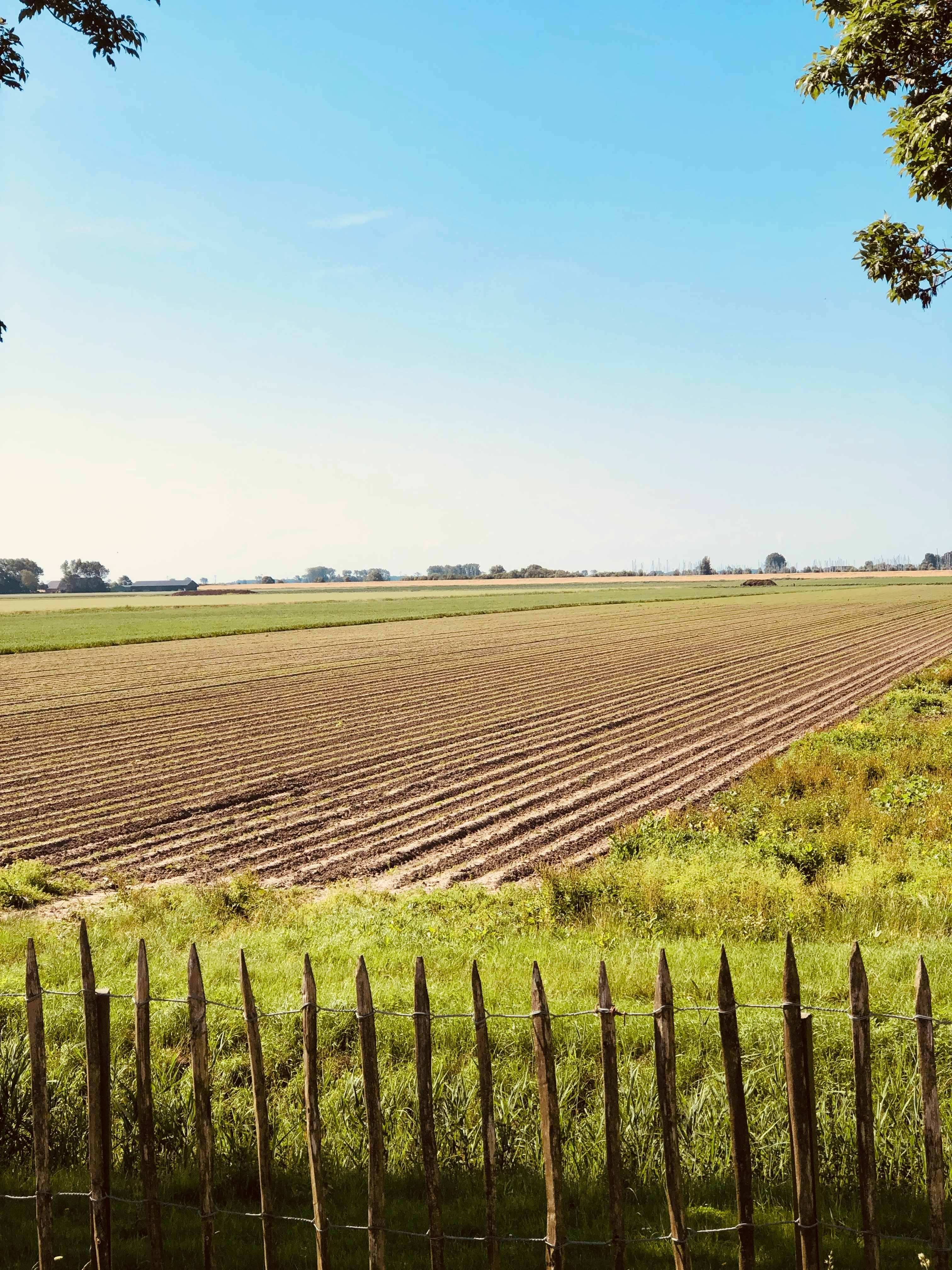 Land Records doctored for farm house colony